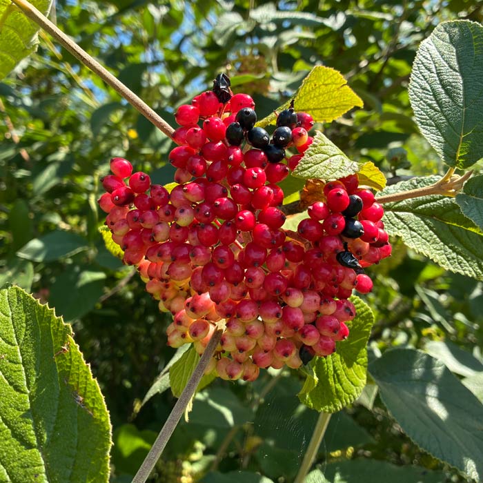 Heilkreise bis Dezember 2025